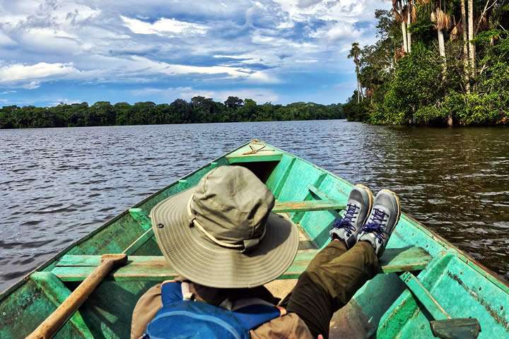 The Amazon