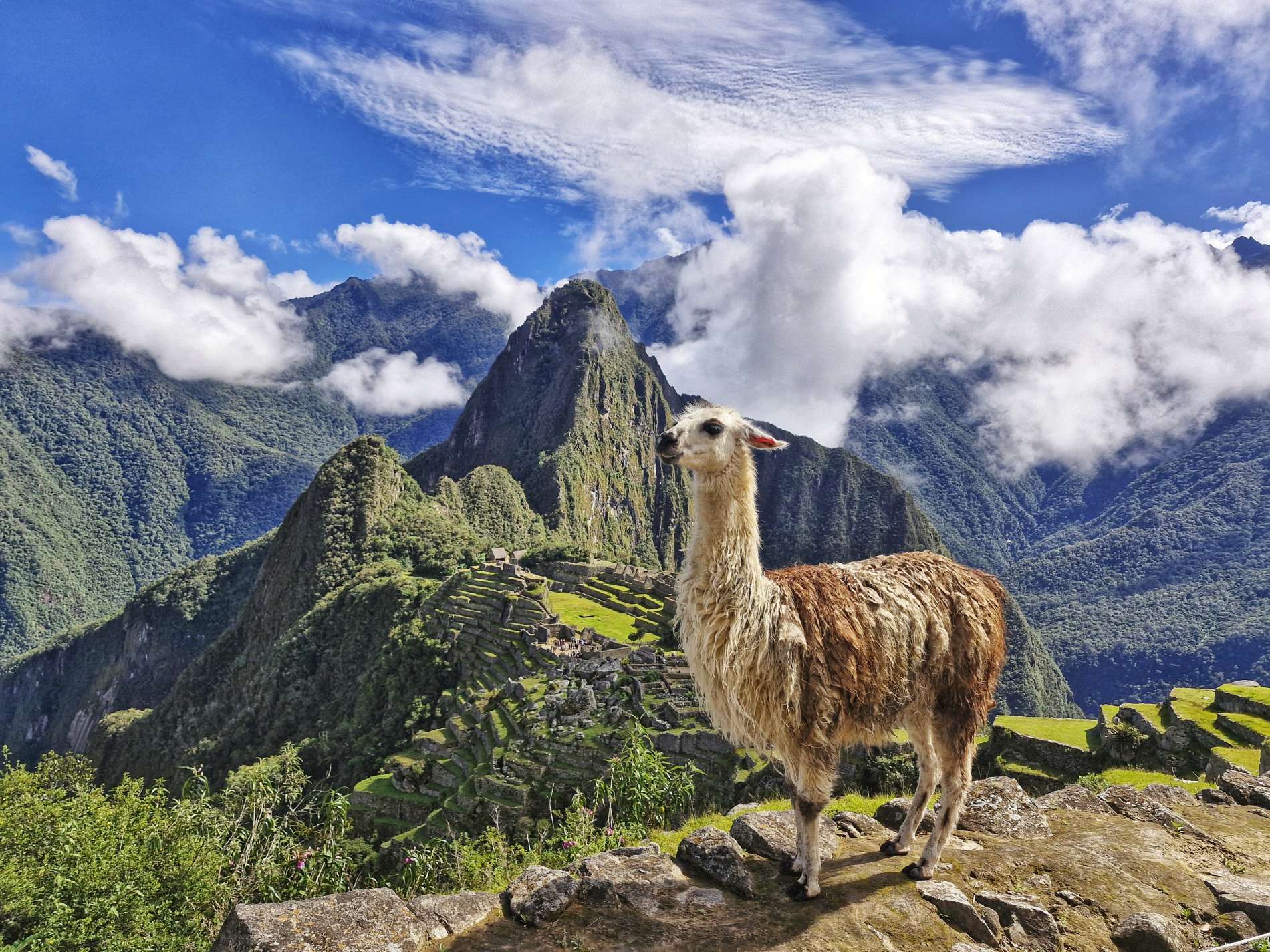 Short Inca Trail to Machupicchu